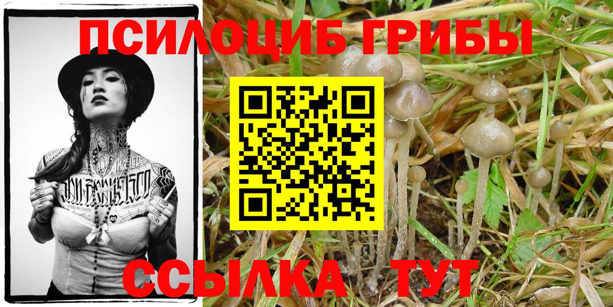 Галлюциногенные грибы прущие грибы Чайковский